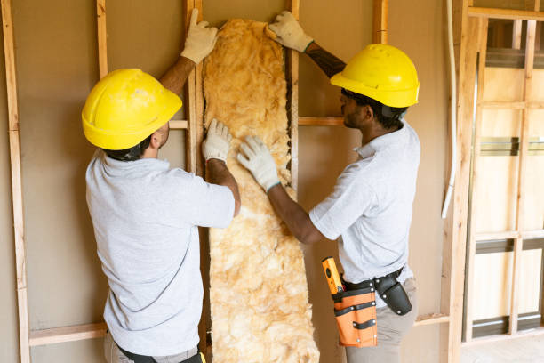 Best Attic Insulation Installation  in Marshfield, MO